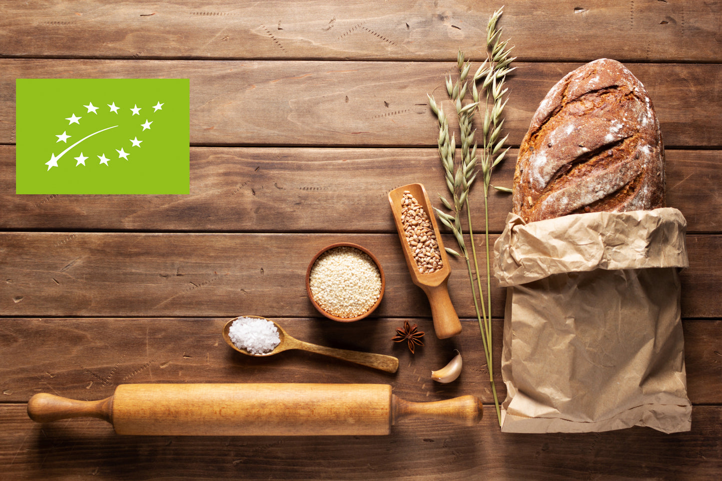 AdobeStock_402694206