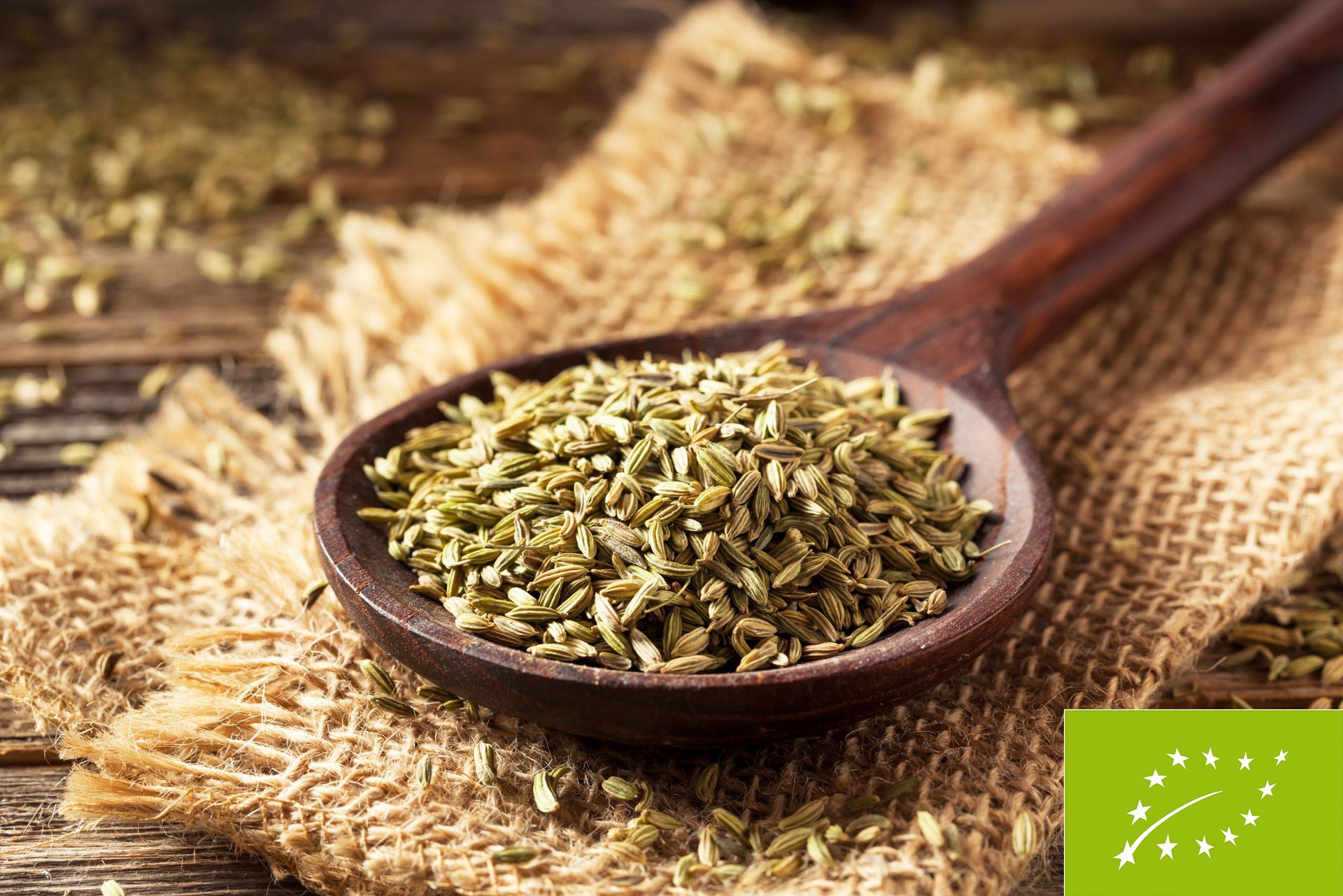 Bio-Fenchelsamen_1920x1920