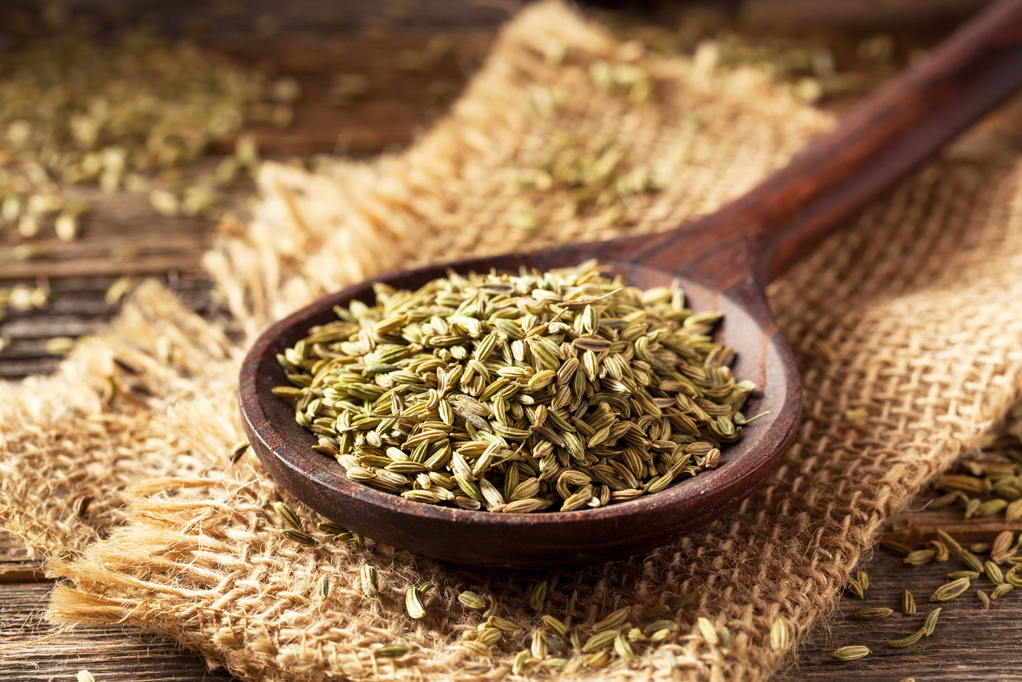 Fenchelsamen
