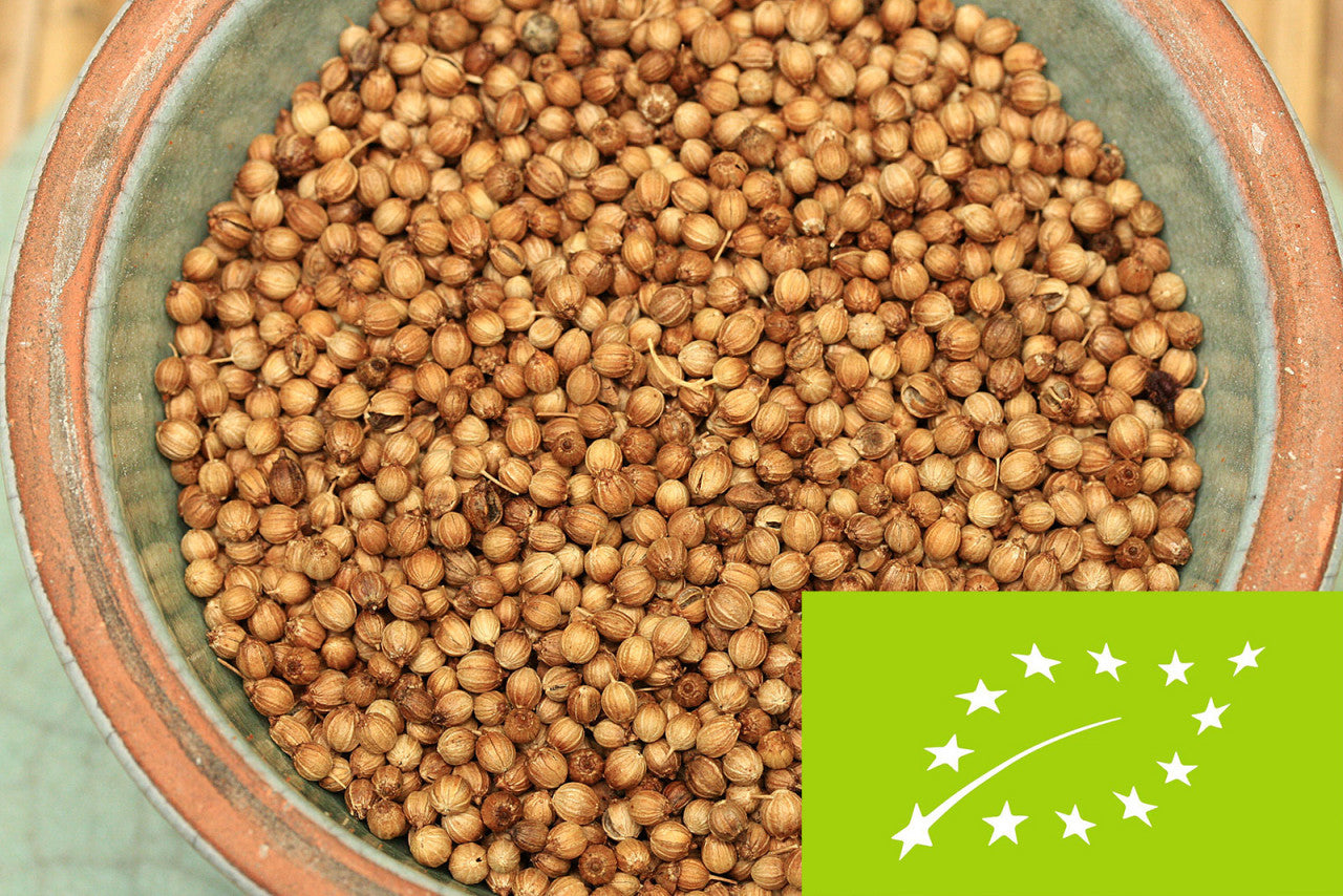 bio-koriander-ganz_1280x1280