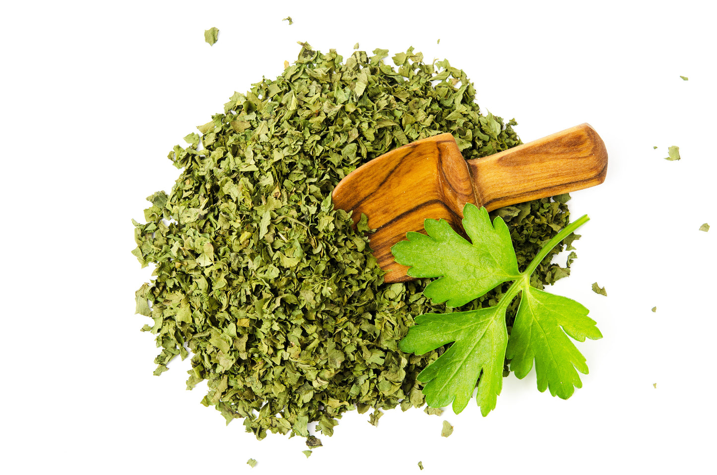 korianderblätter