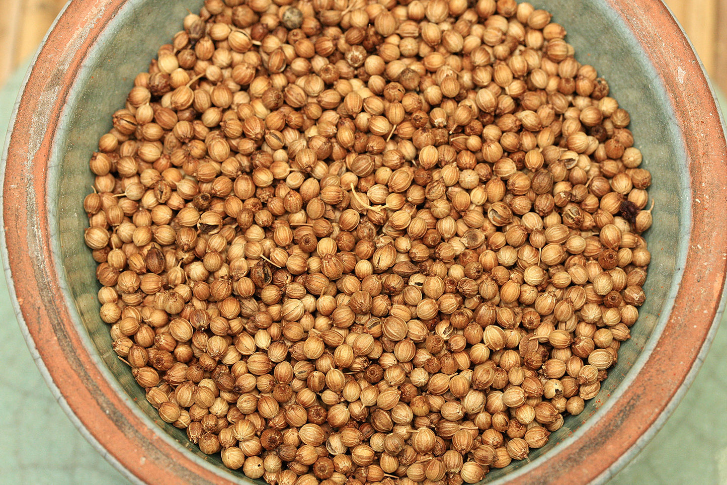 korianderganzshwlpxl6edq1h