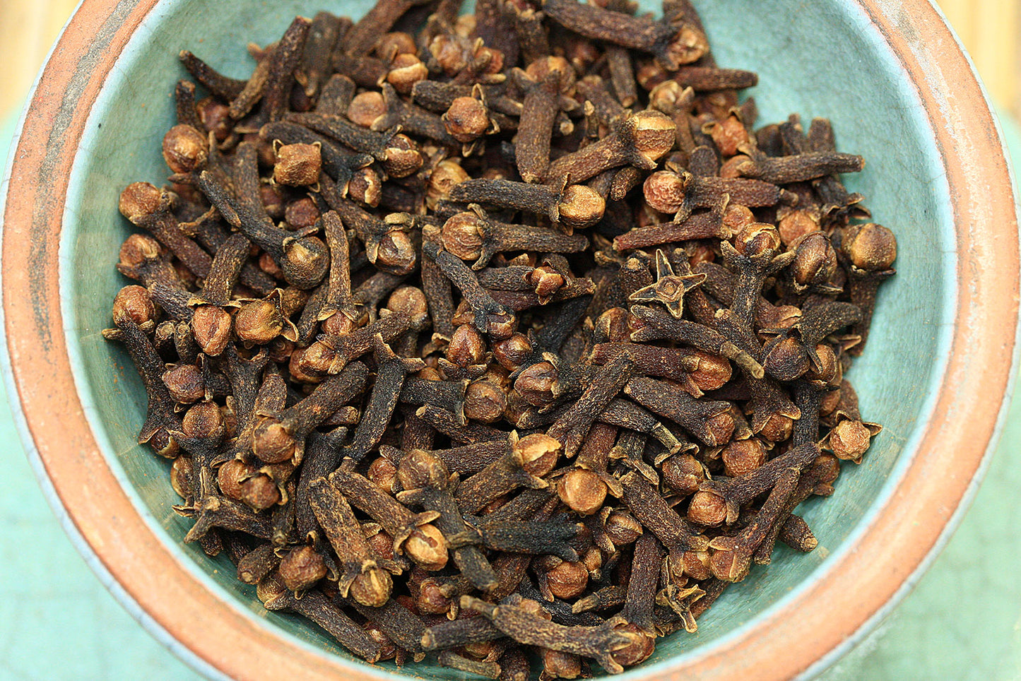 nelkenganzhy9ysnepu9u9z