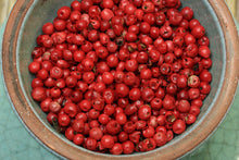 rosa-beeren-pfeffer-rot_1280x1280
