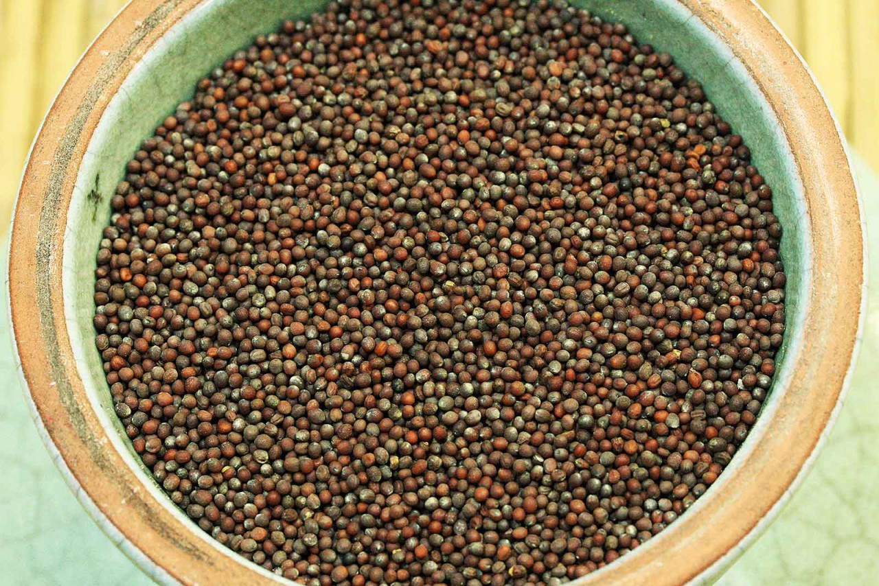 senfsaatbraunganz158ad9c1275188_1280x1280