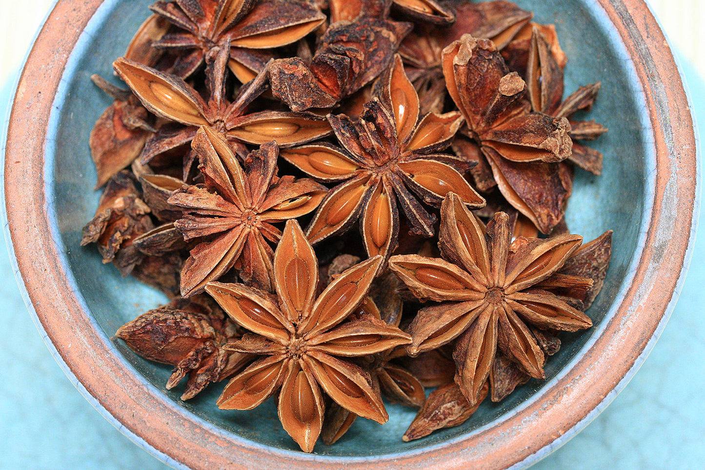 sternanisganz5912ea3dee605fuowl4zss1akk